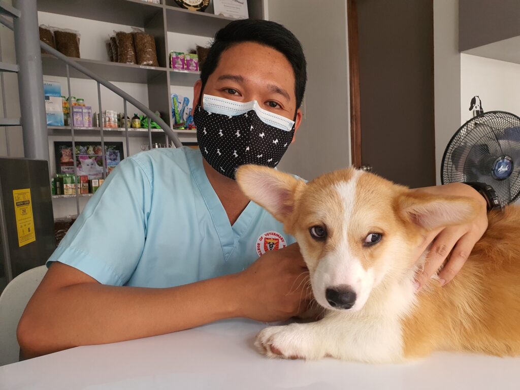 Veterinarian